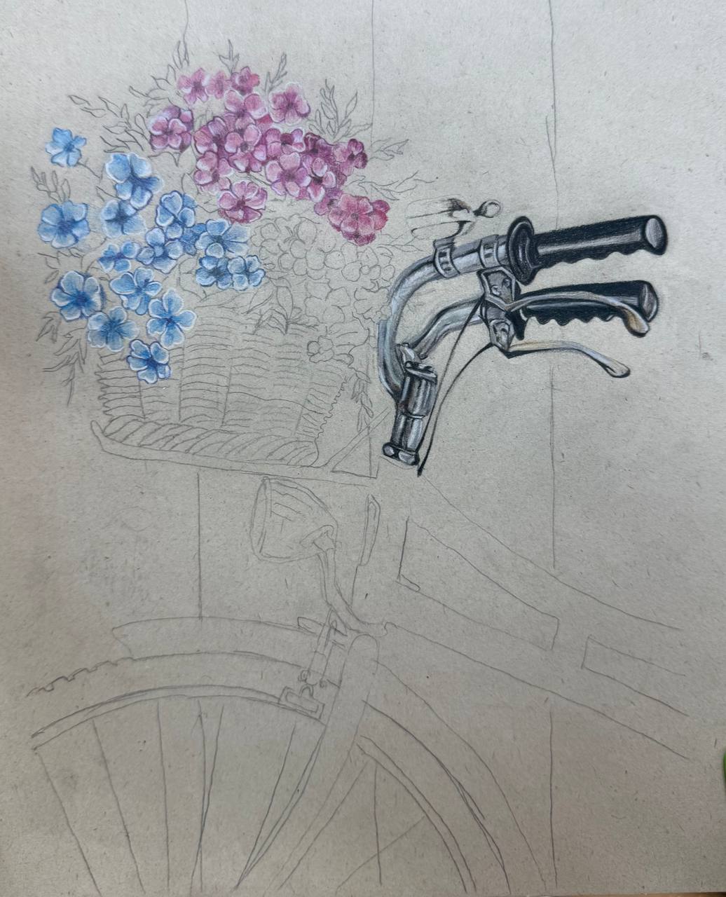 آموزش نقاشی سیاه قلم سیندخت سهروردی